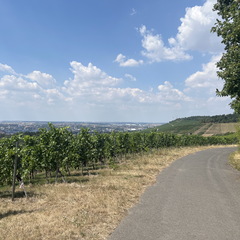 22-07-30 13-43-47 1757